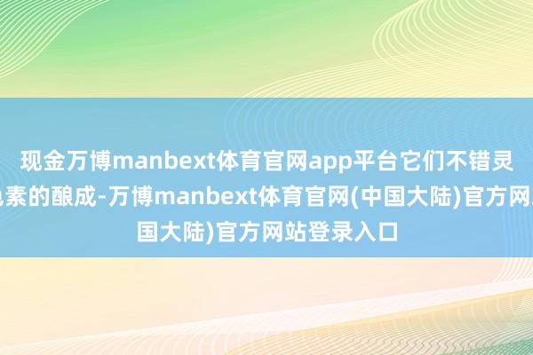 现金万博manbext体育官网app平台它们不错灵验扼制玄色素的酿成-万博manbext体育官网(中国大陆)官方网站登录入口