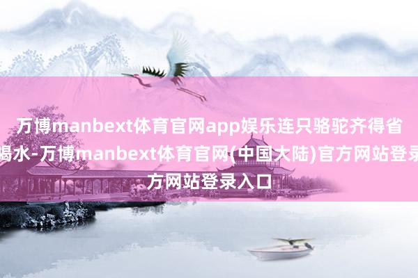 万博manbext体育官网app娱乐连只骆驼齐得省着点喝水-万博manbext体育官网(中国大陆)官方网站登录入口