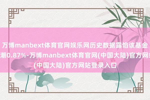 万博manbext体育官网娱乐网历史数据露馅该基金近1个月高潮0.87%-万博manbext体育官网(中国大陆)官方网站登录入口